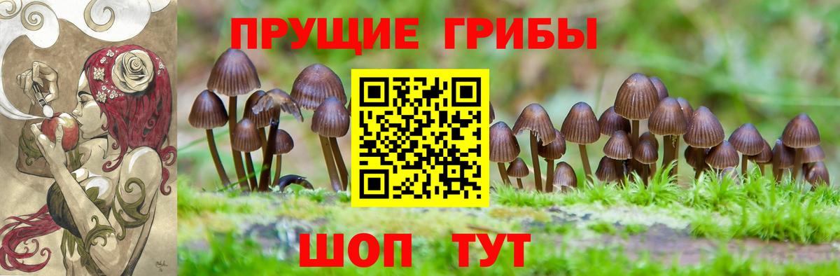 Псилоцибиновые грибы ЛСД  Вход с VPN  Галлюциногенные грибы ЛСД  Новоалександровск 