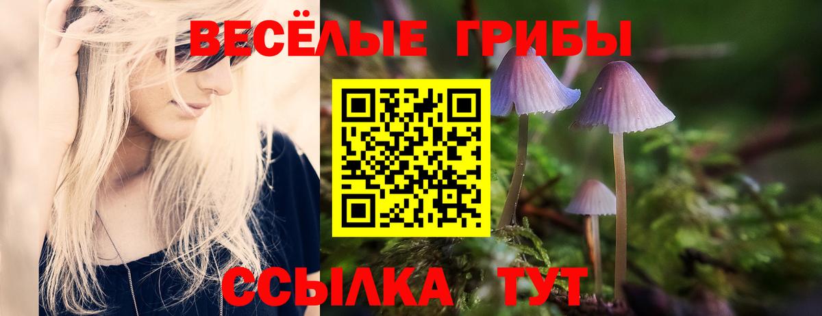 Псилоцибиновые грибы MAGIC MUSHROOMS Новоалександровск